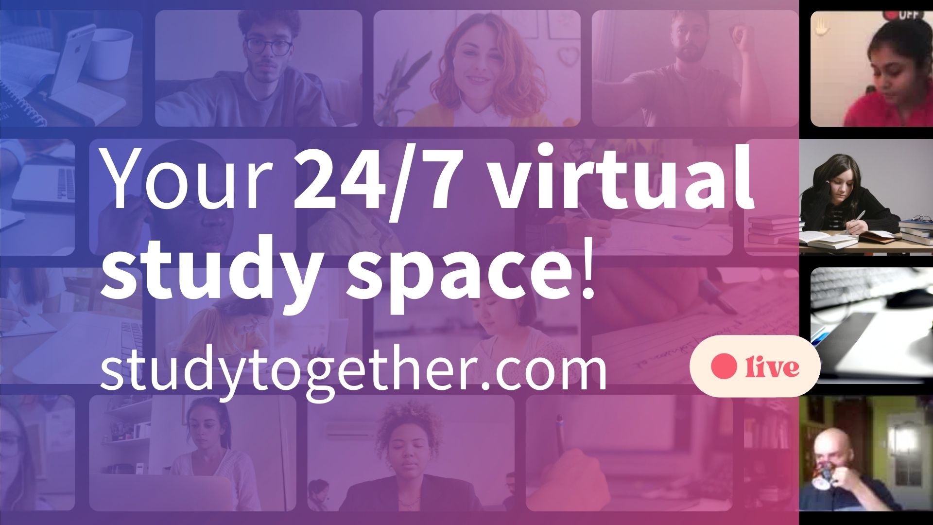 Discovery splash banner for 🌼 Study Together Discord server