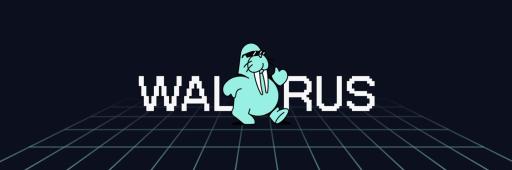 Discovery splash banner for Walrus Discord server