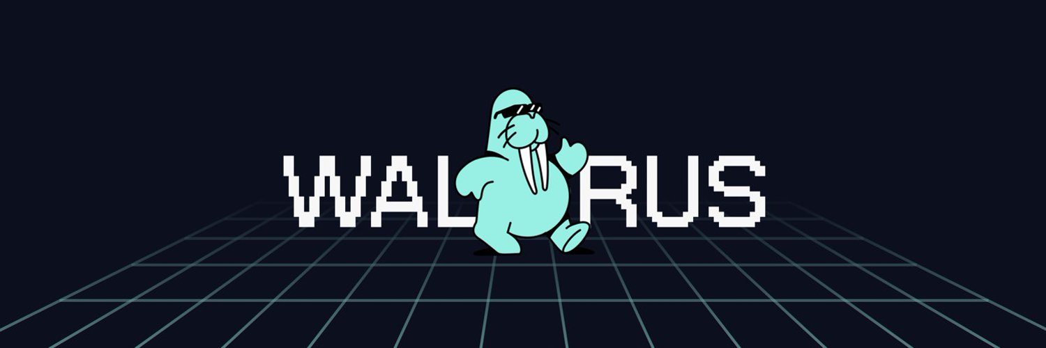 Discovery splash banner for Walrus Discord server