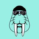 Discovery icon for Walrus Discord server